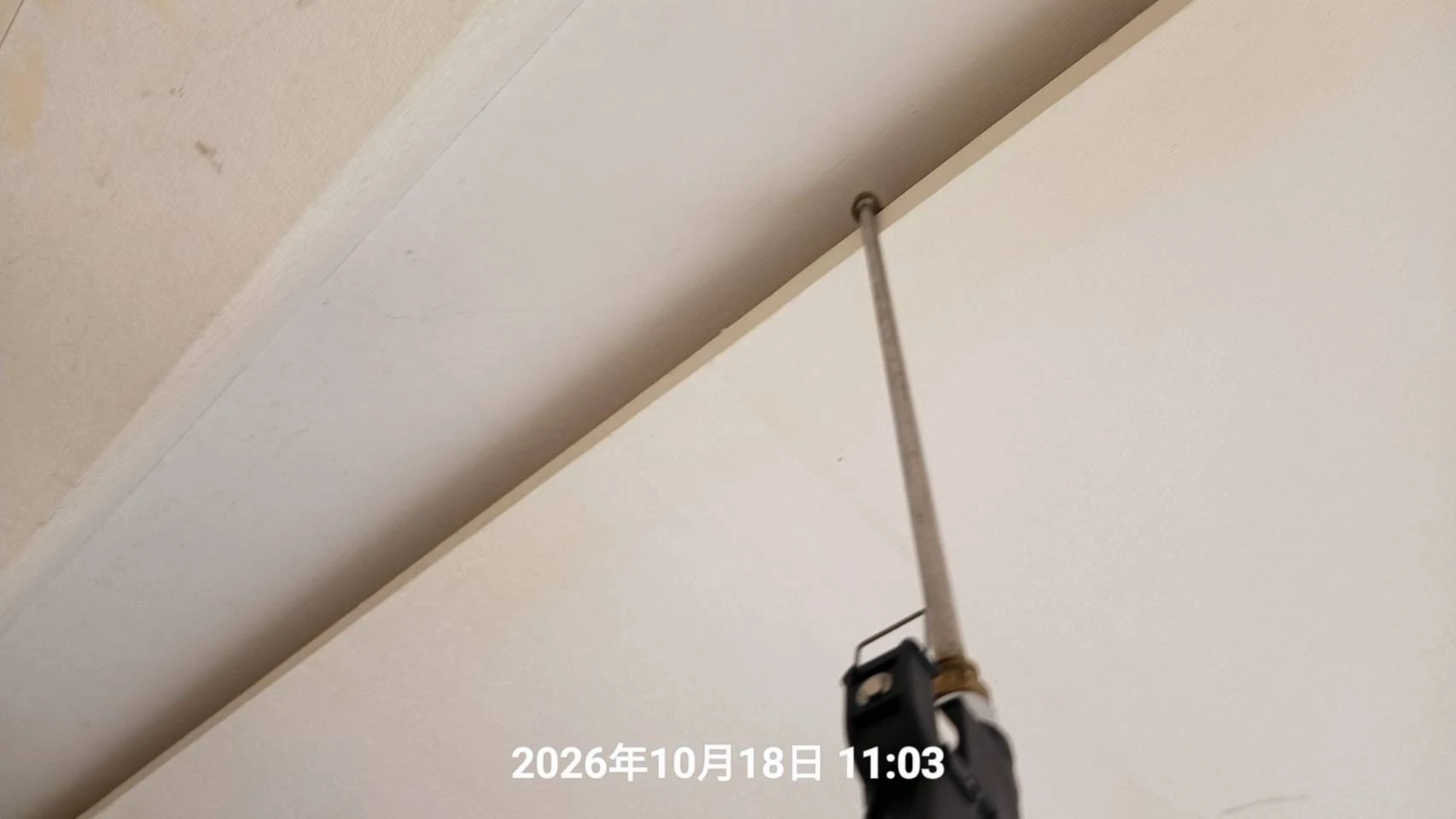 桃園區退租除蟲施工