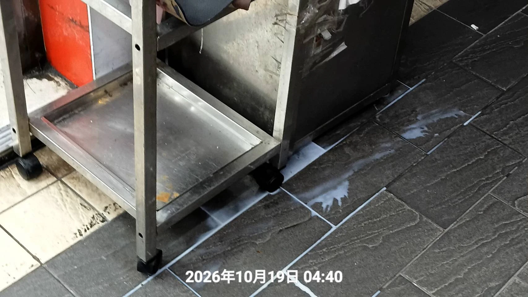 北市中山店家消毒除蟲