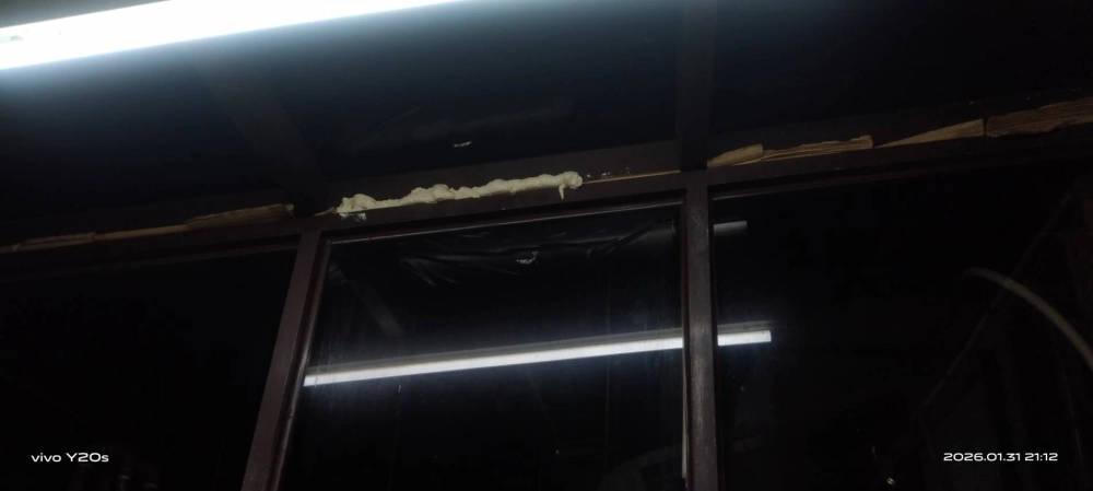 桃園青埔店家~鼠害防治