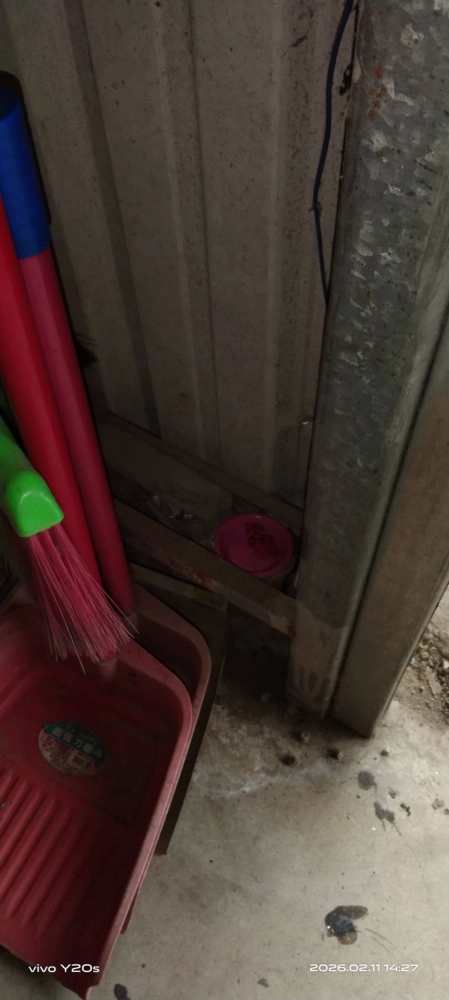 大溪訓練所->鼠害防治