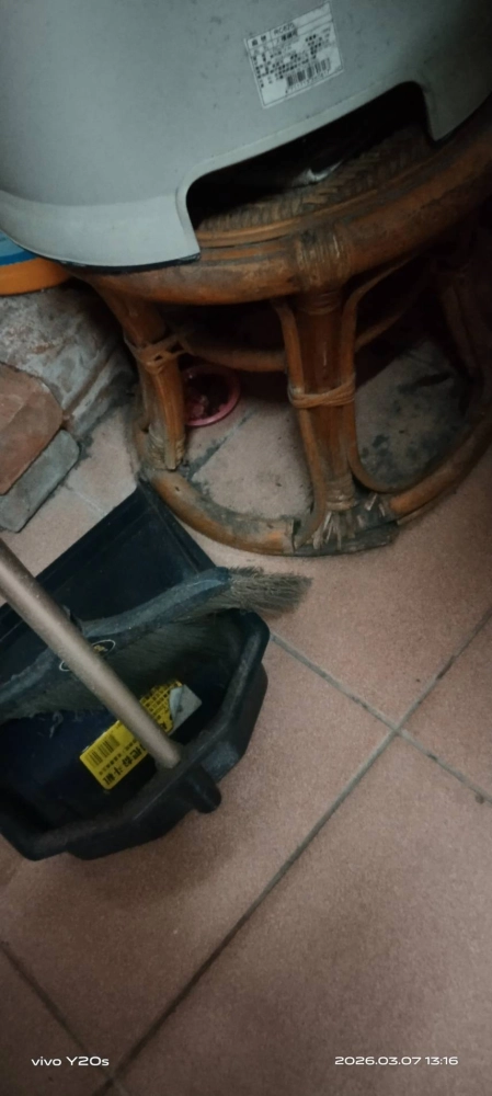 新竹住家鼠害防治