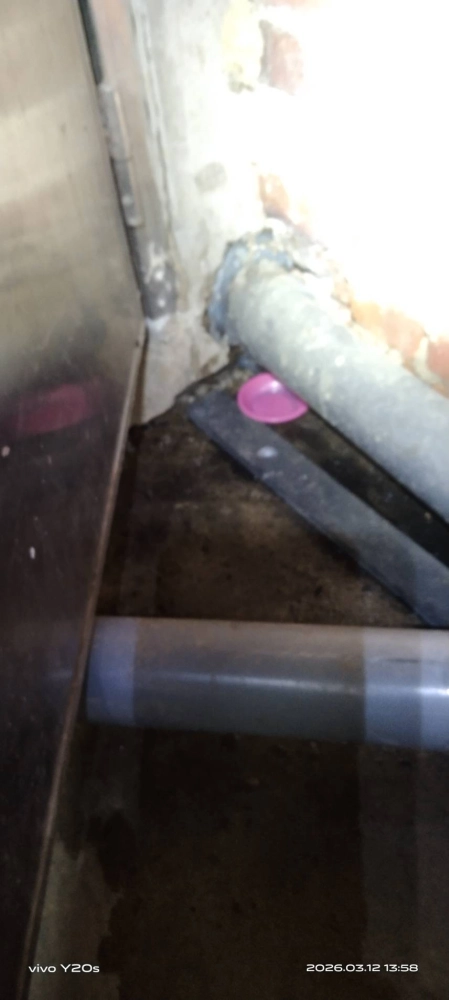 大園公司定期鼠害防治