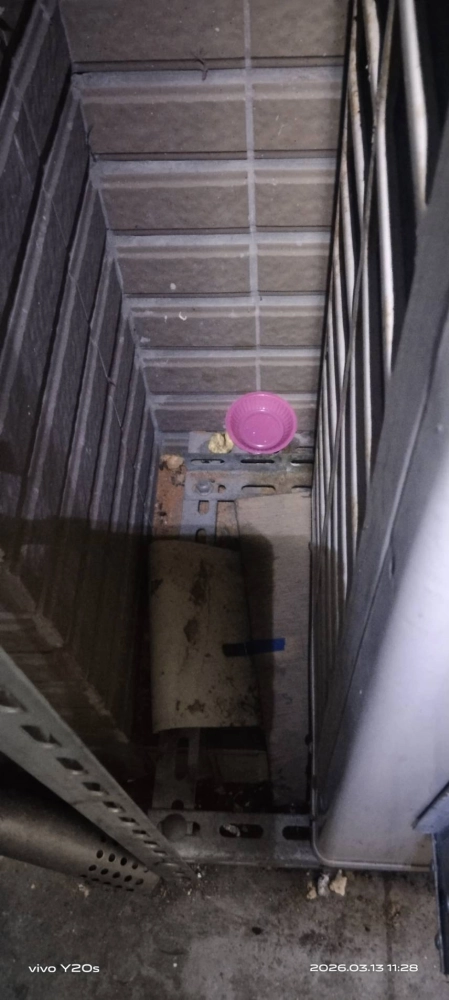 新北三峽社區定期鼠害防治