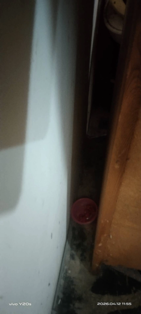 桃園市青埔特區→住家鼠害防治