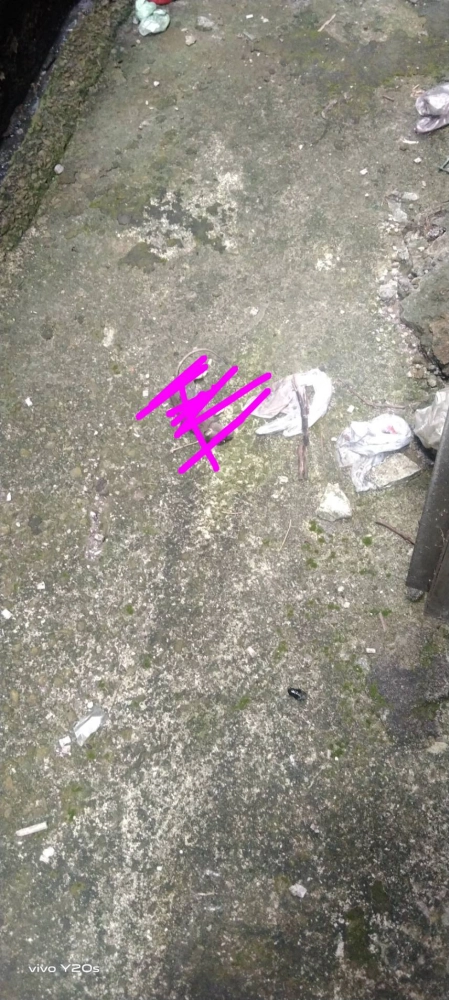 鶯歌區→鼠害防治
