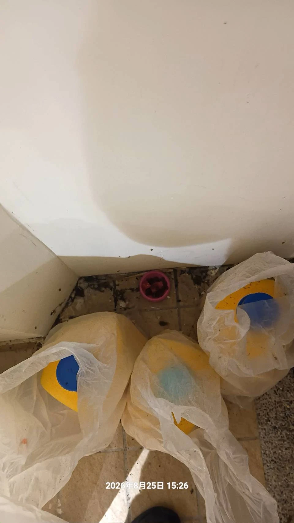 宜蘭壯圍農屋鼠害防治