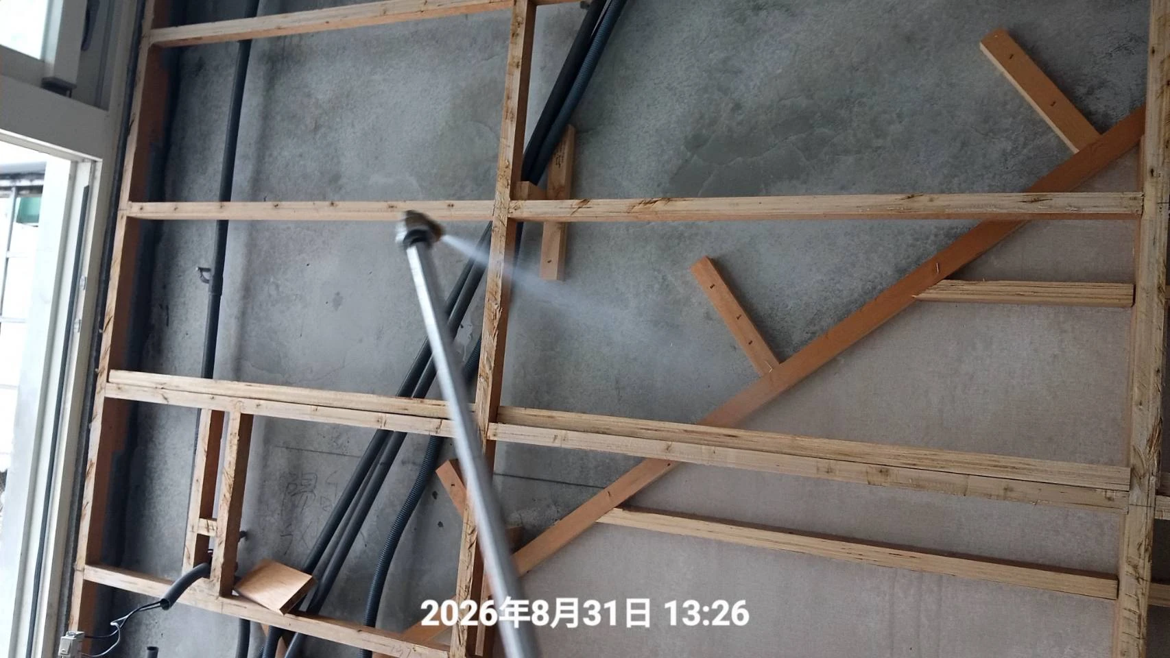 桃園區裝修屋白蟻防治