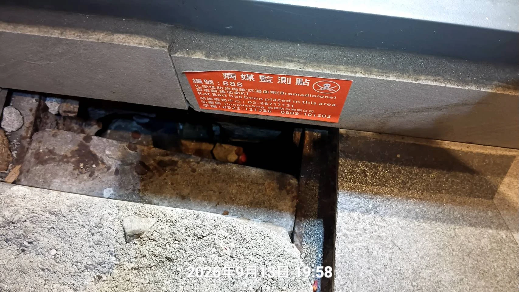 平鎮區店家蟲鼠定期防治