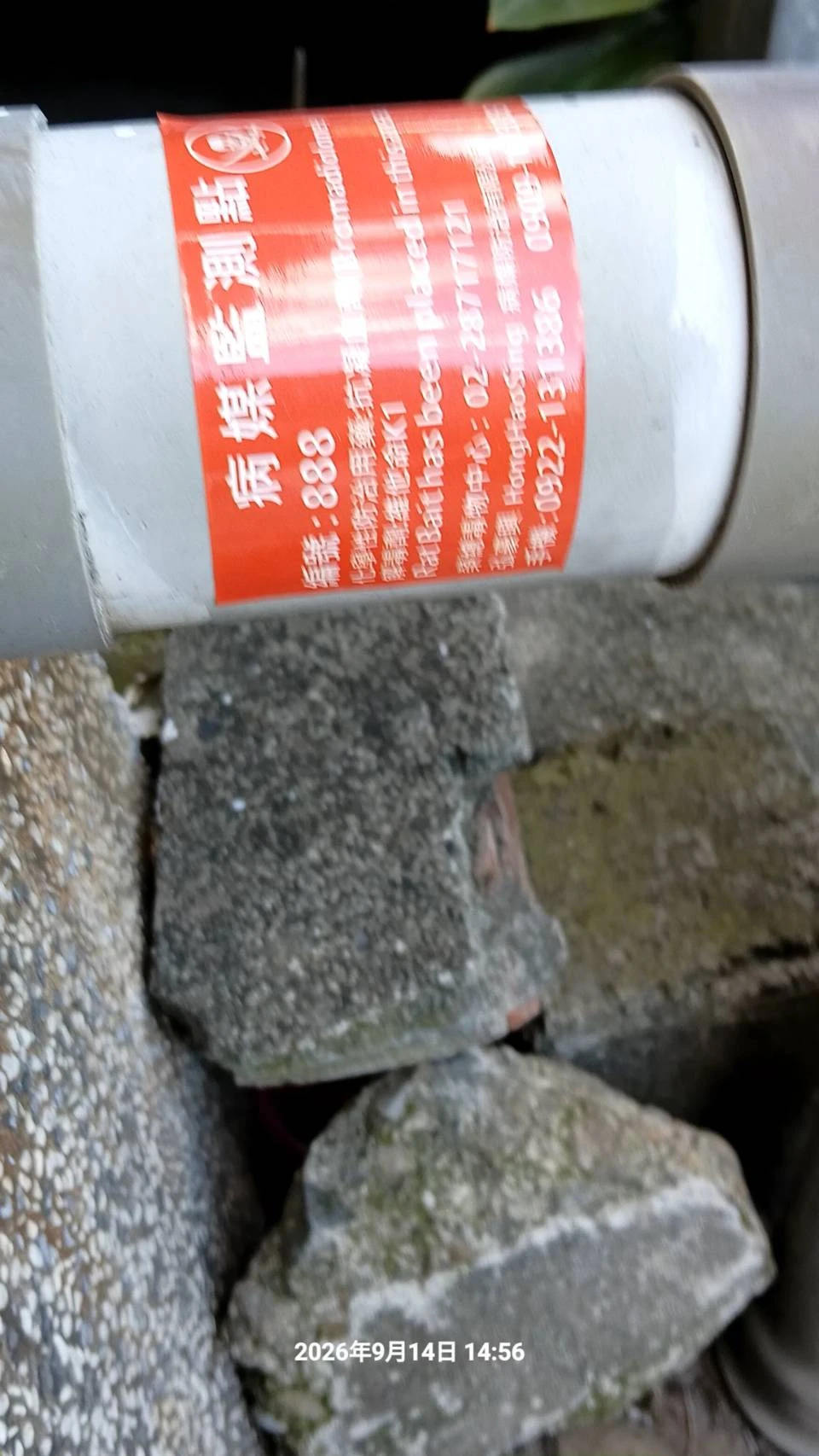 大溪區門市商家鼠害防治
