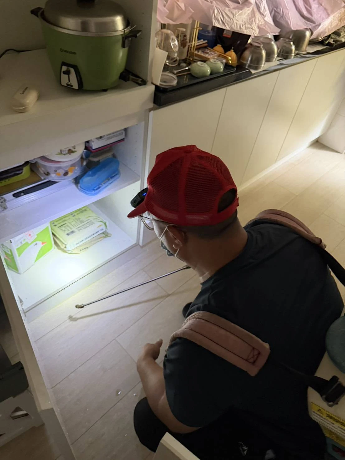青埔特區住家除蟲