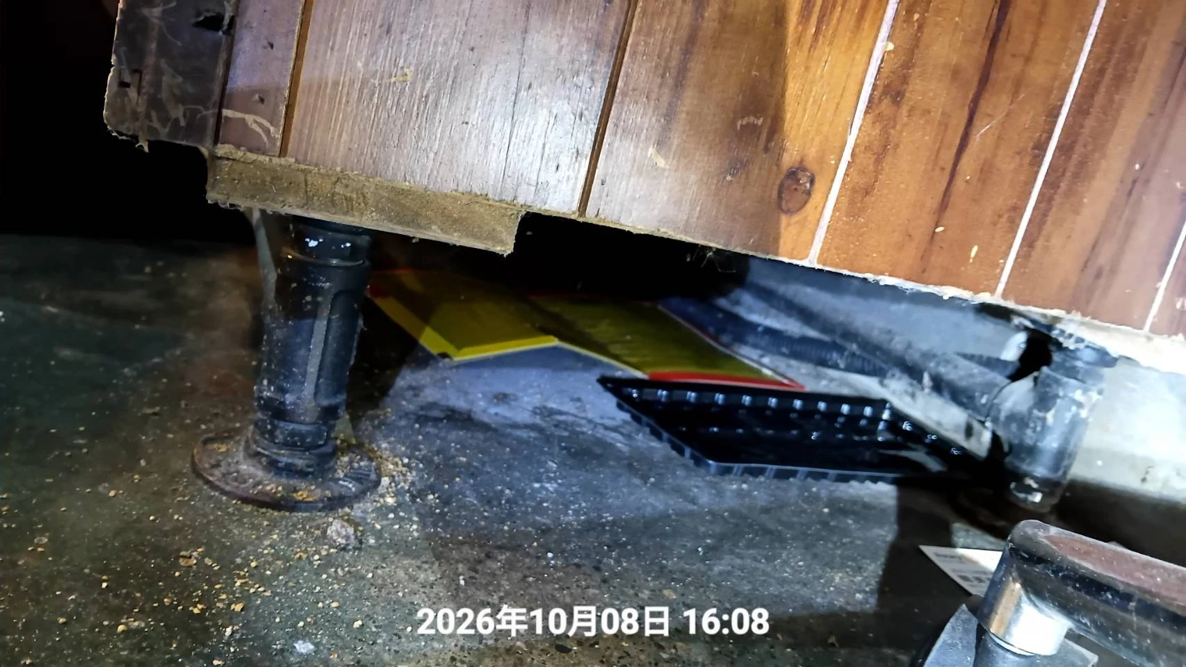 中壢工廠鼠害防治
