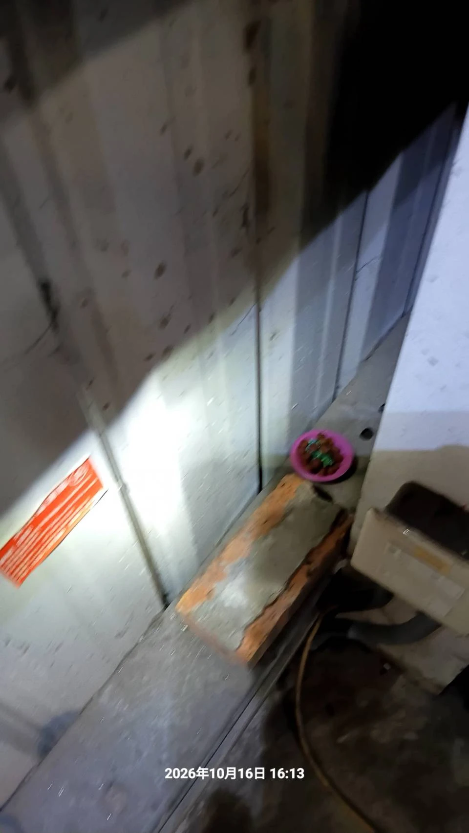中壢工廠鼠害防冶