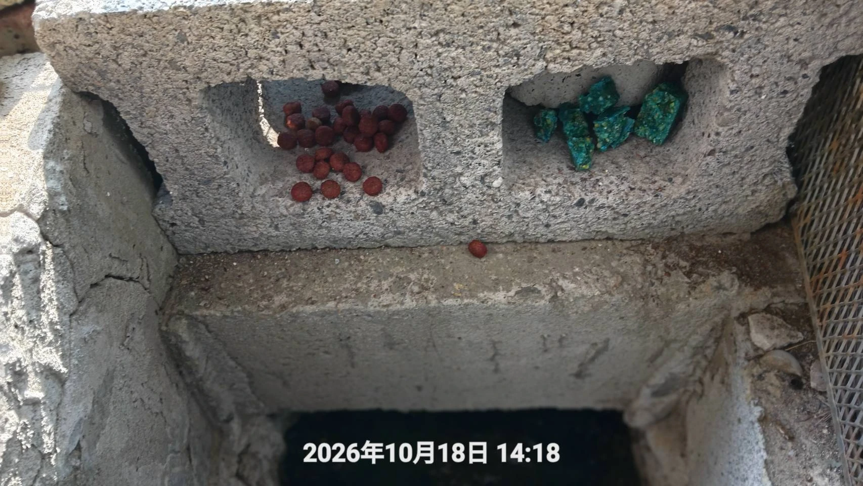 青埔住家定期鼠害防治