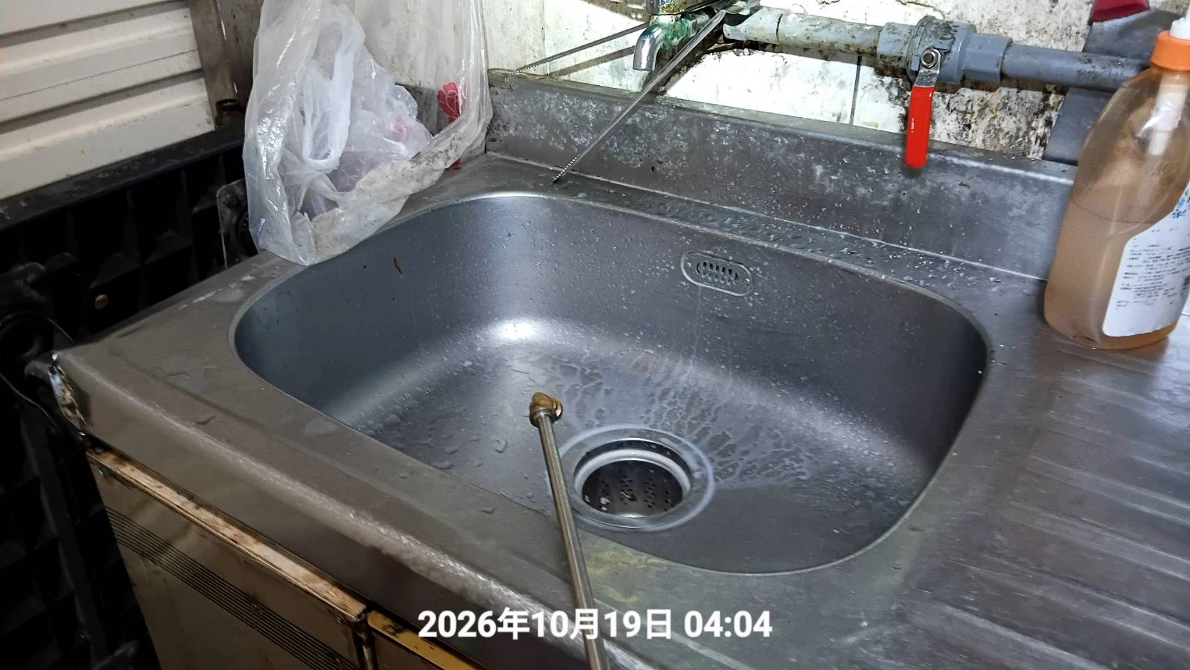 北市中山店家消毒除蟲
