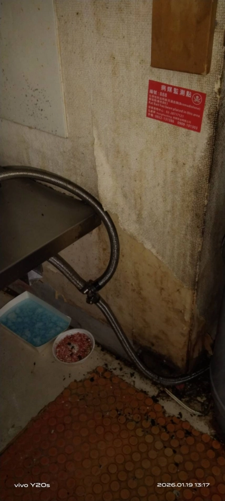 宜蘭店家鼠害防治