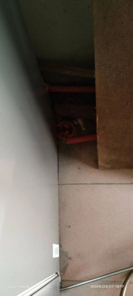 新竹住家鼠害防治