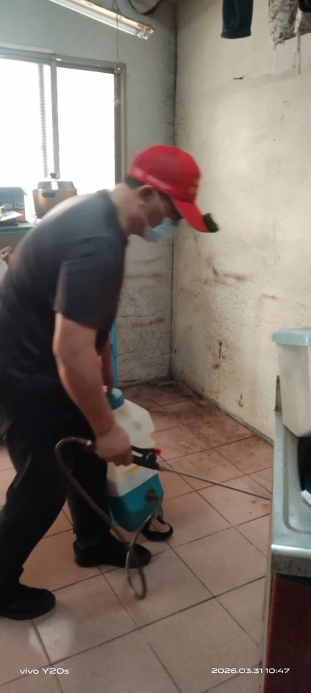 新竹住家~鼠害防治