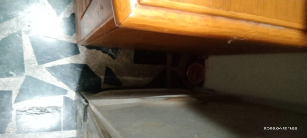 桃園市青埔特區→住家鼠害防治