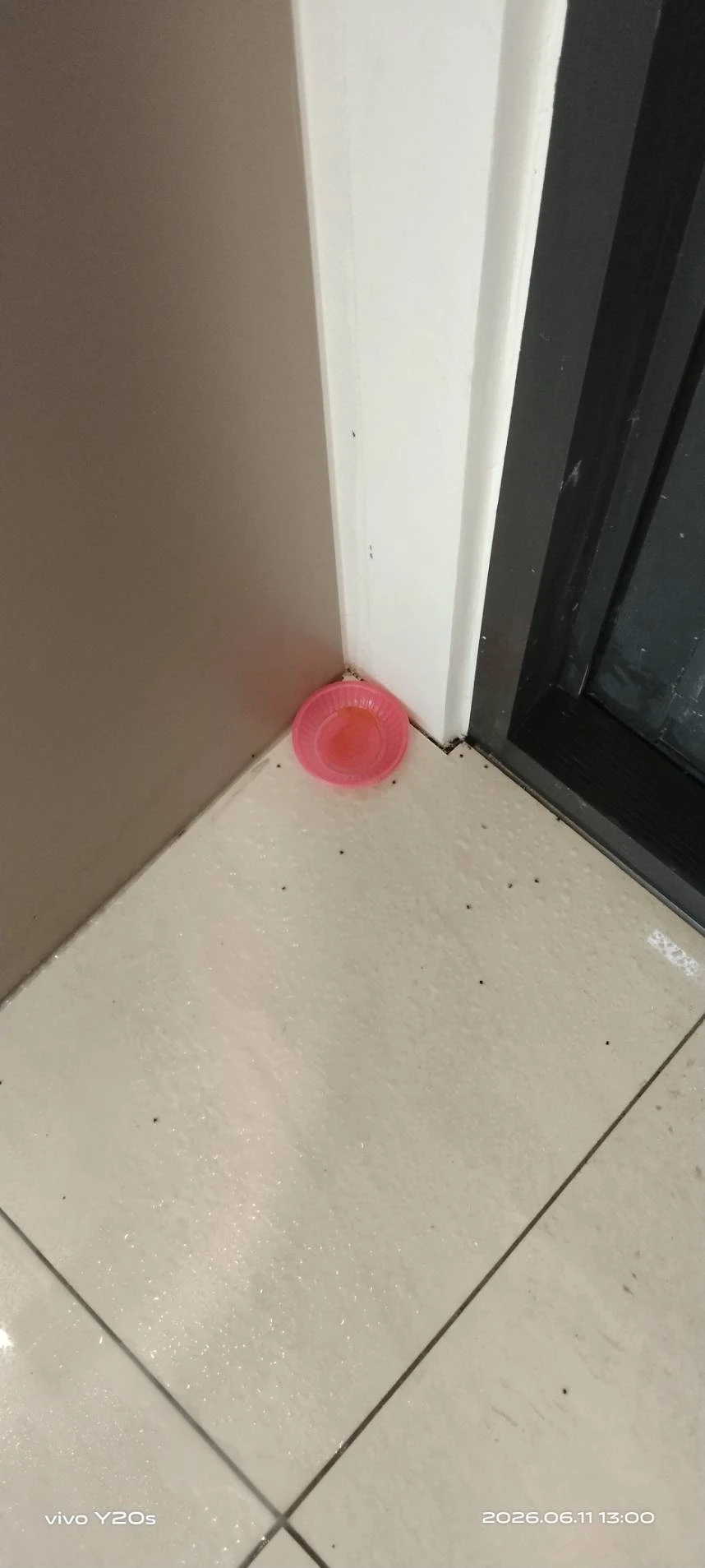 礁溪農舍蟻害防治