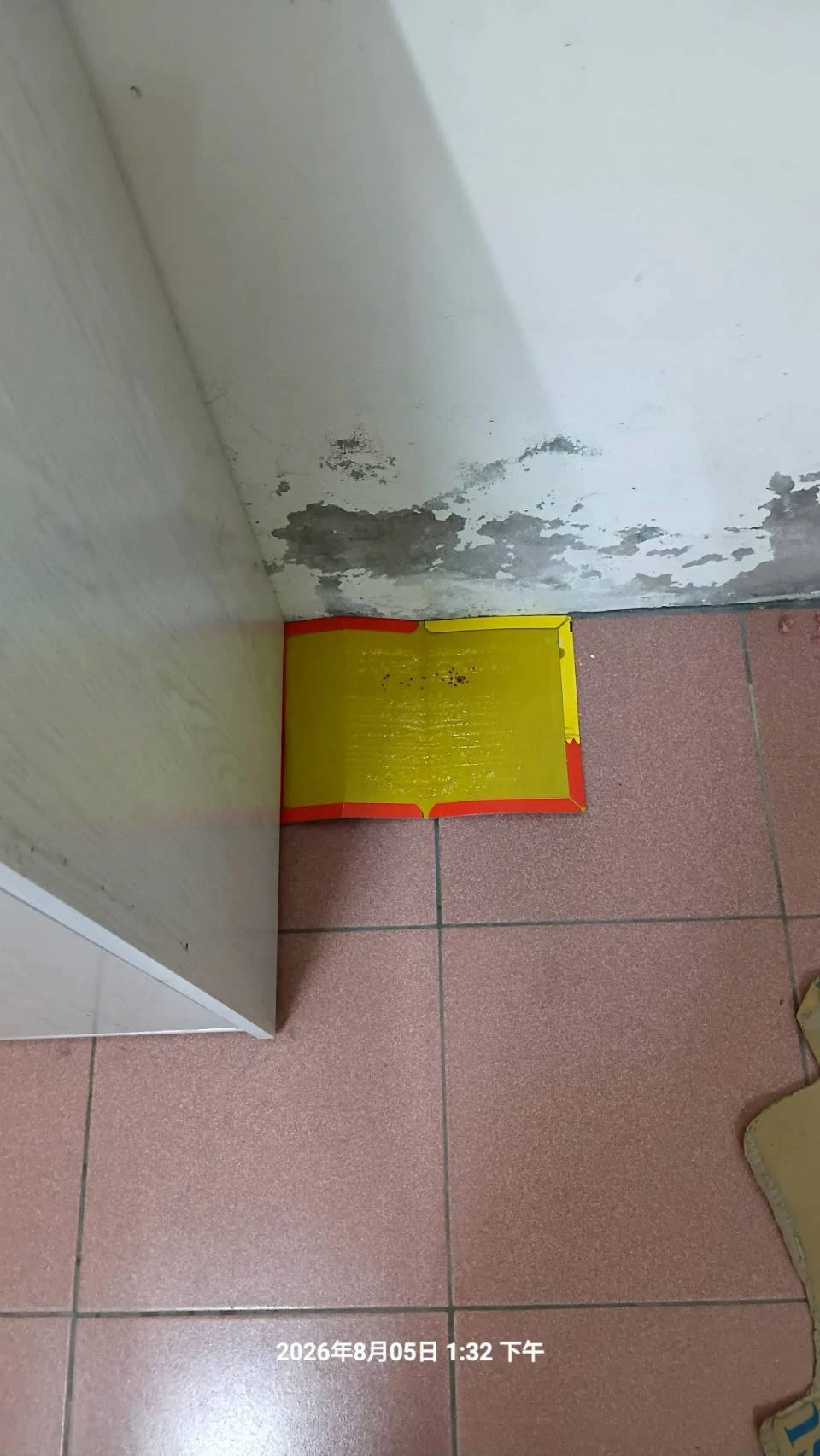 大園區定期鼠害防治