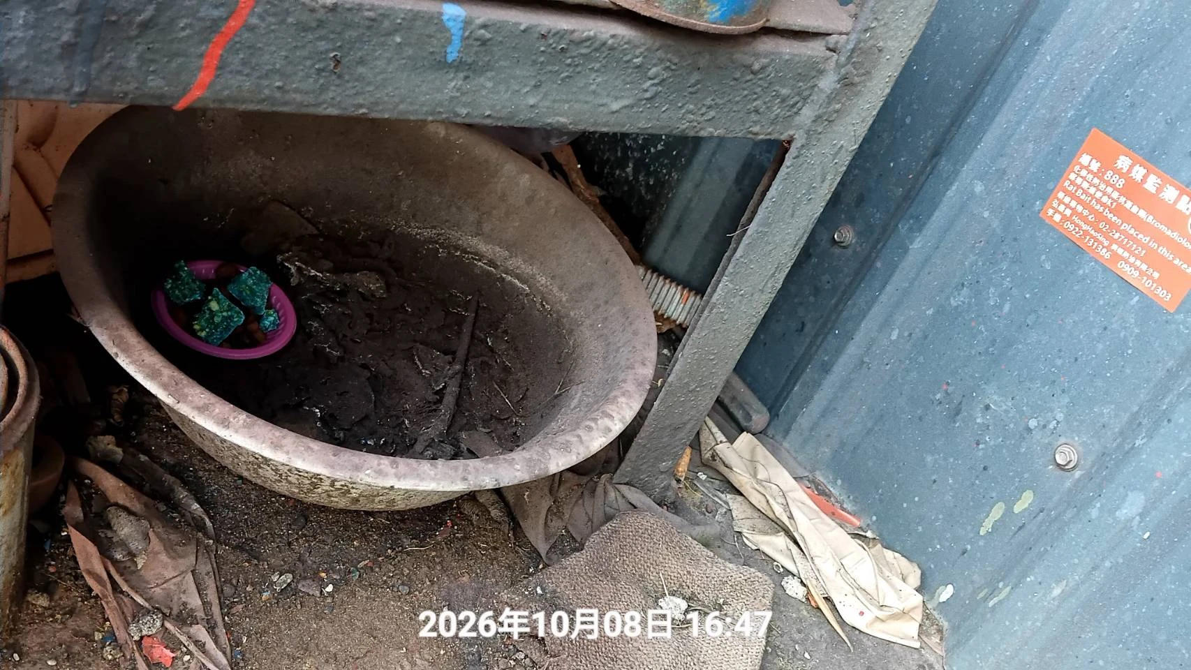 中壢工廠鼠害防治