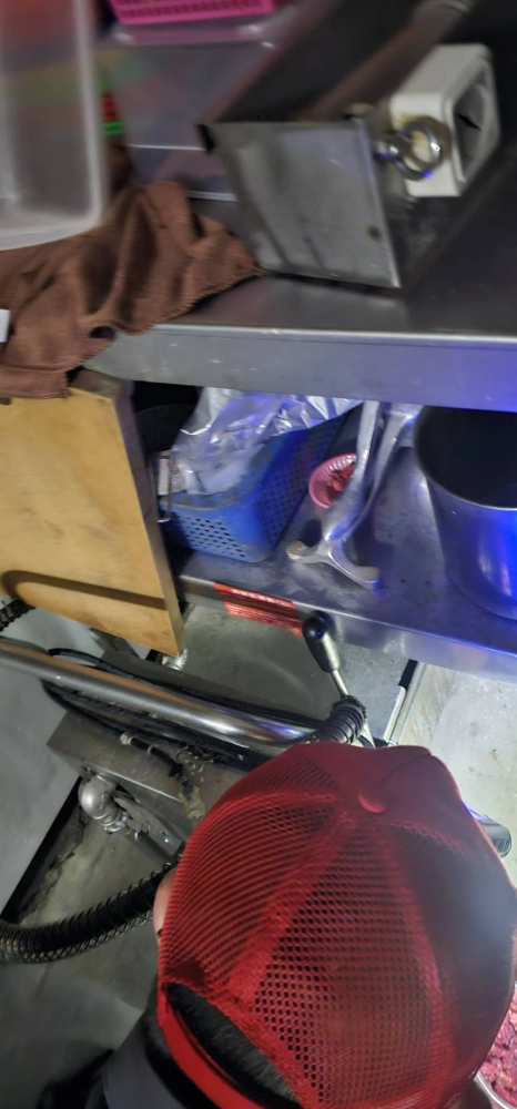 中壢店家鼠害防治