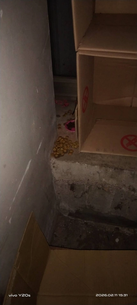 中壢物流場鼠害防治