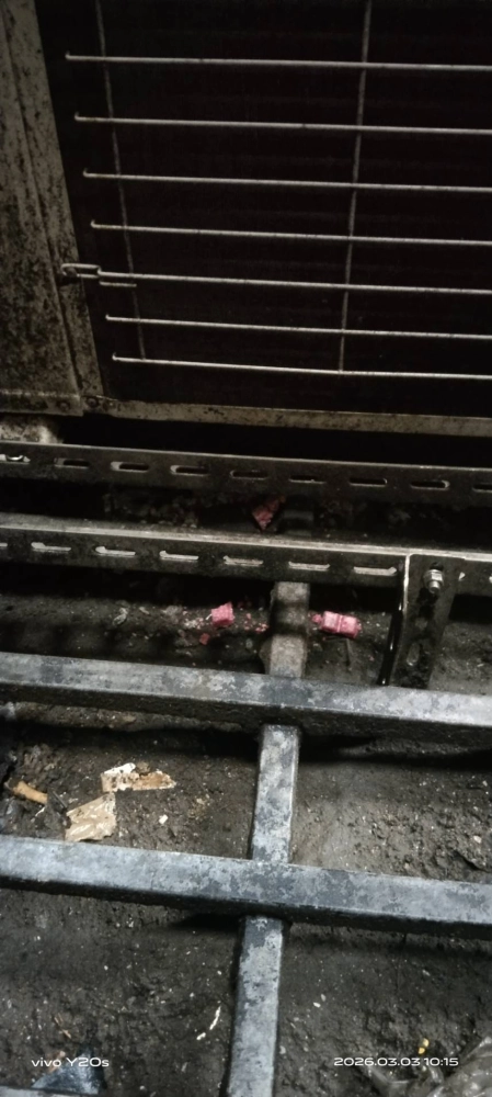 三峡北大社區→鼠害防治