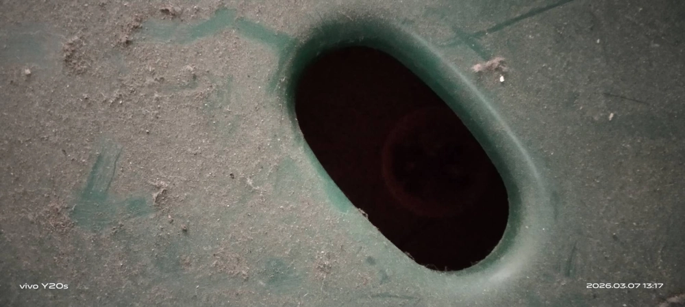 新竹住家鼠害防治