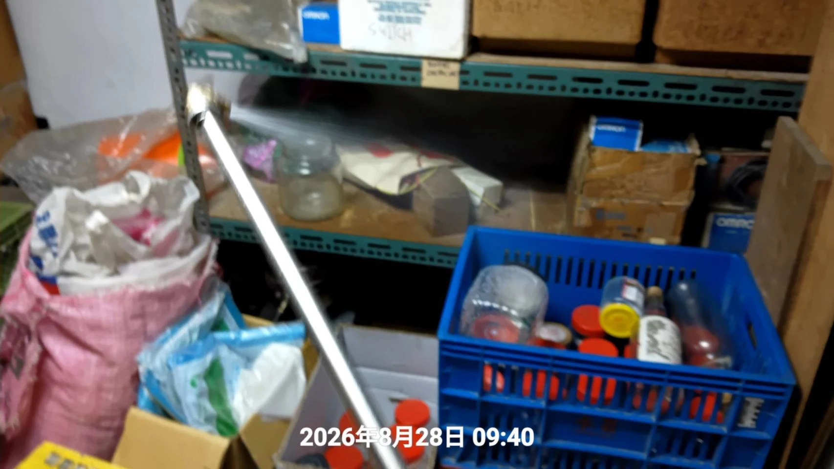 中壢廠房倉庫除蟲