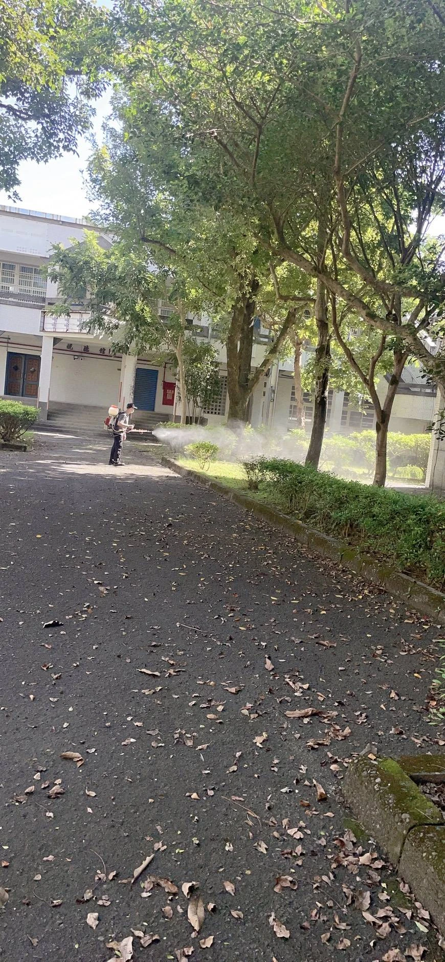115年國民小學年度消毒