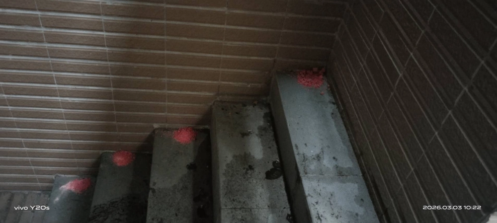 三峡北大社區→鼠害防治