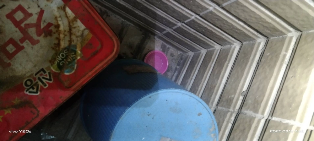 新北三峽社區定期鼠害防治