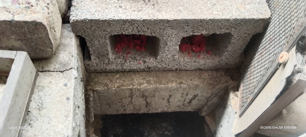 桃園市青埔特區→住家鼠害防治