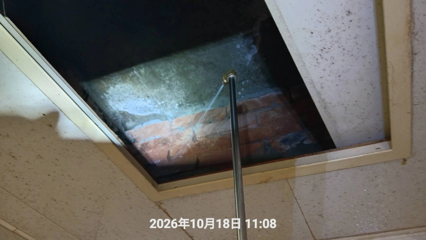 桃園區退租除蟲施工