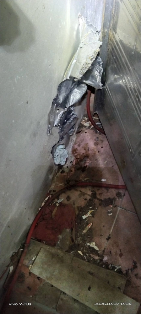 新竹住家鼠害防治