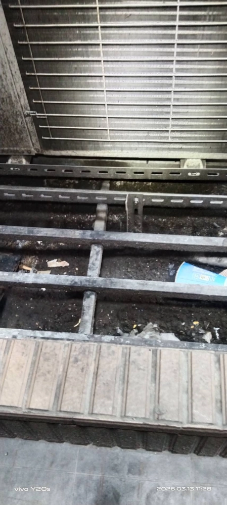 新北三峽社區定期鼠害防治