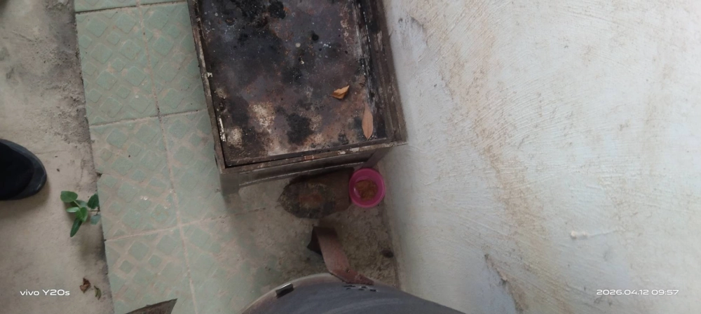 桃園市青埔特區→住家鼠害防治