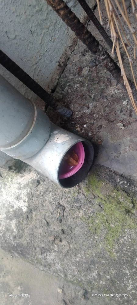 桃園市青埔特區→住家鼠害防治