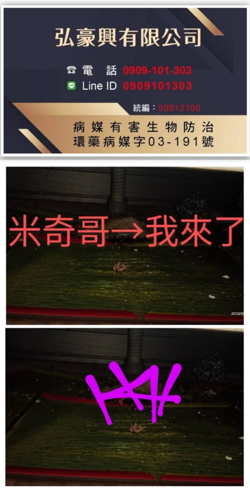 鼠害防治