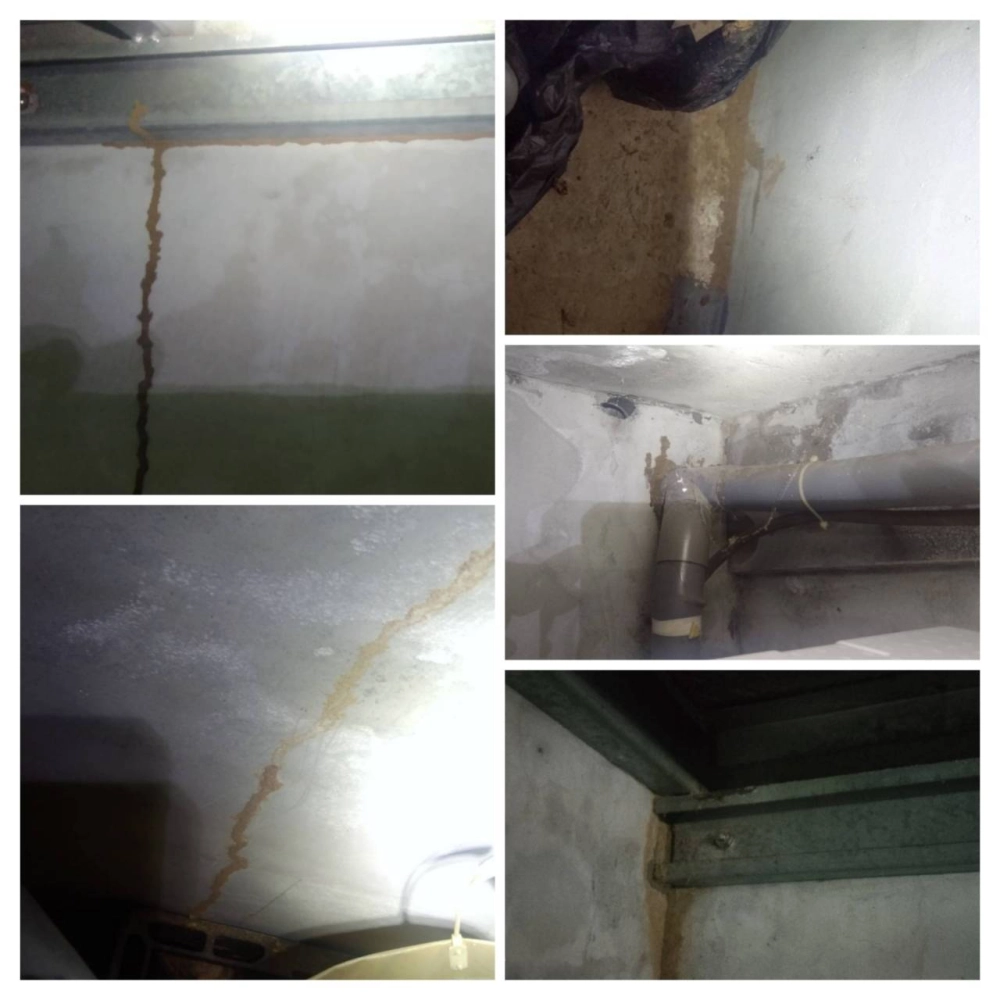 白蟻防治→場看準備