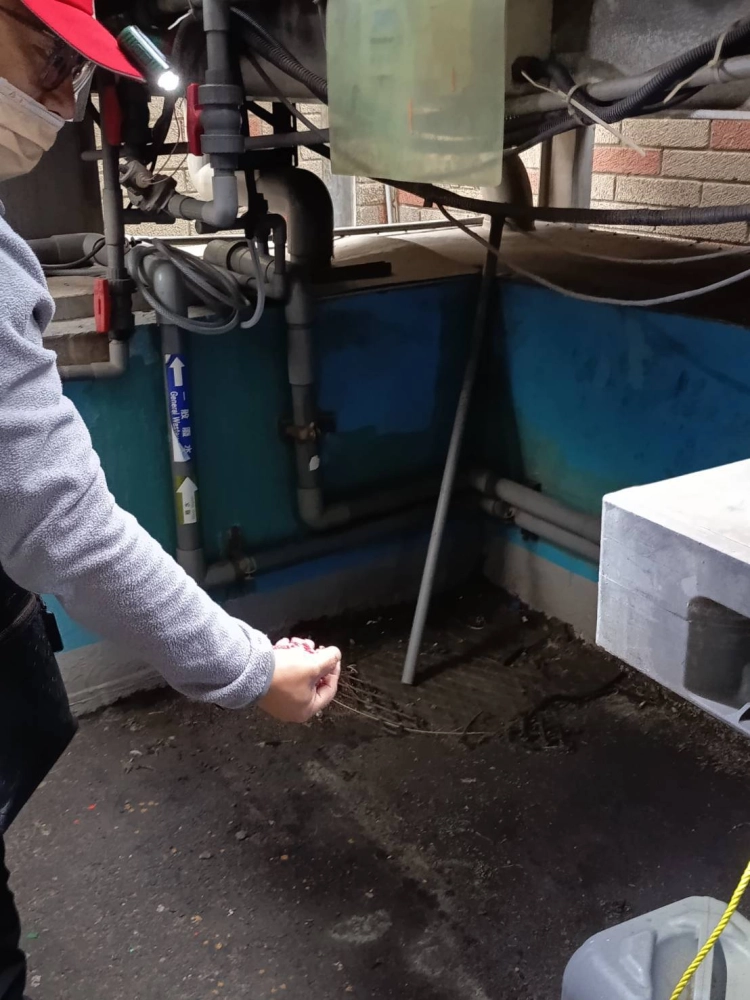 大園廠區→鼠藥投置