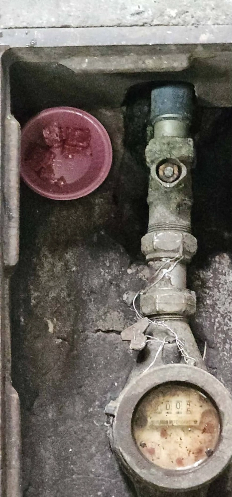 中壢店家鼠害防治