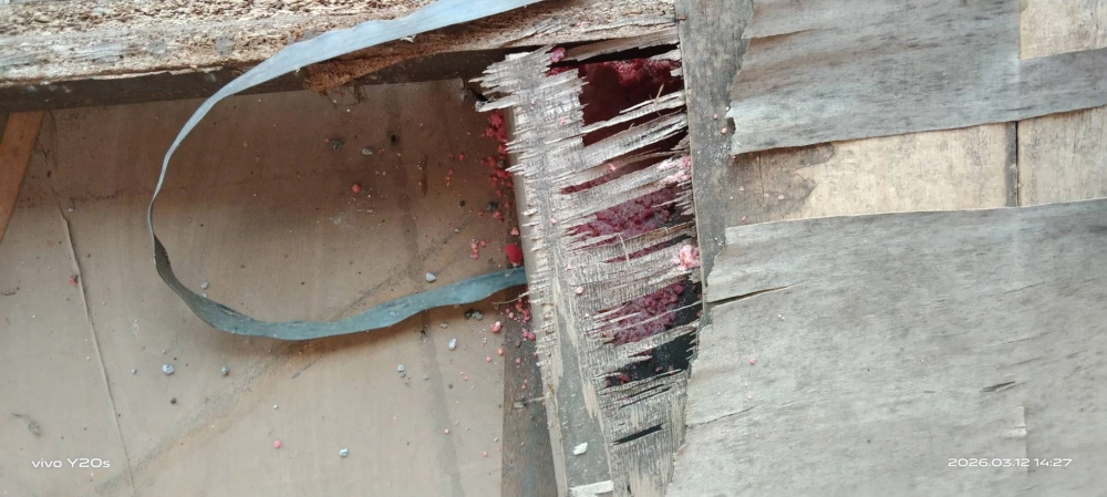 大園公司定期鼠害防治