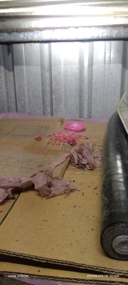 大溪公司定期鼠害防治