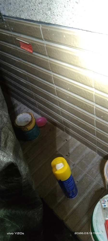 新北三峽社區定期鼠害防治