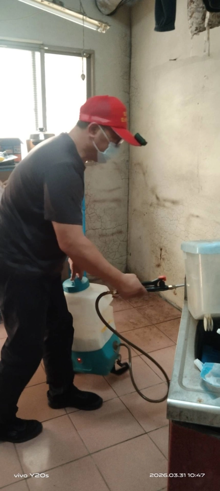 新竹住家~鼠害防治