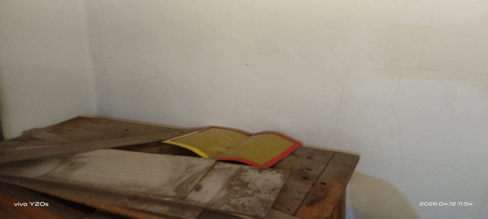 桃園市青埔特區→住家鼠害防治