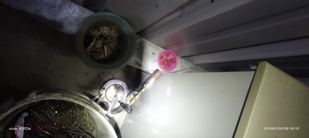大園公司~鼠害定期防治