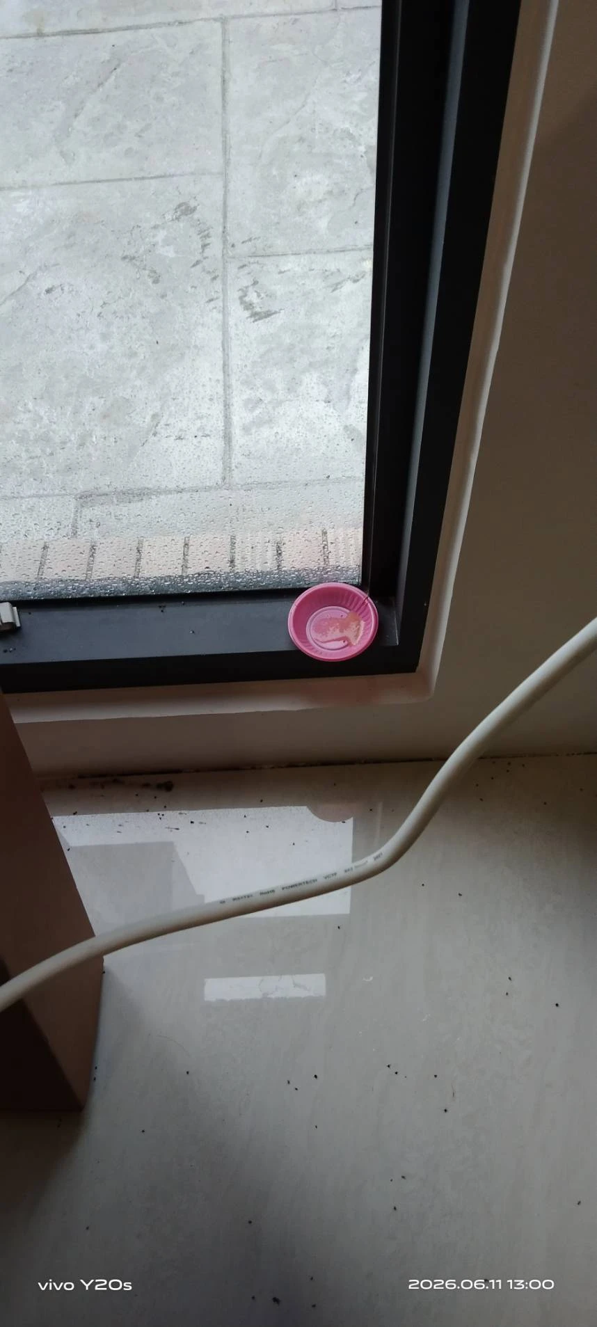 礁溪農舍蟻害防治